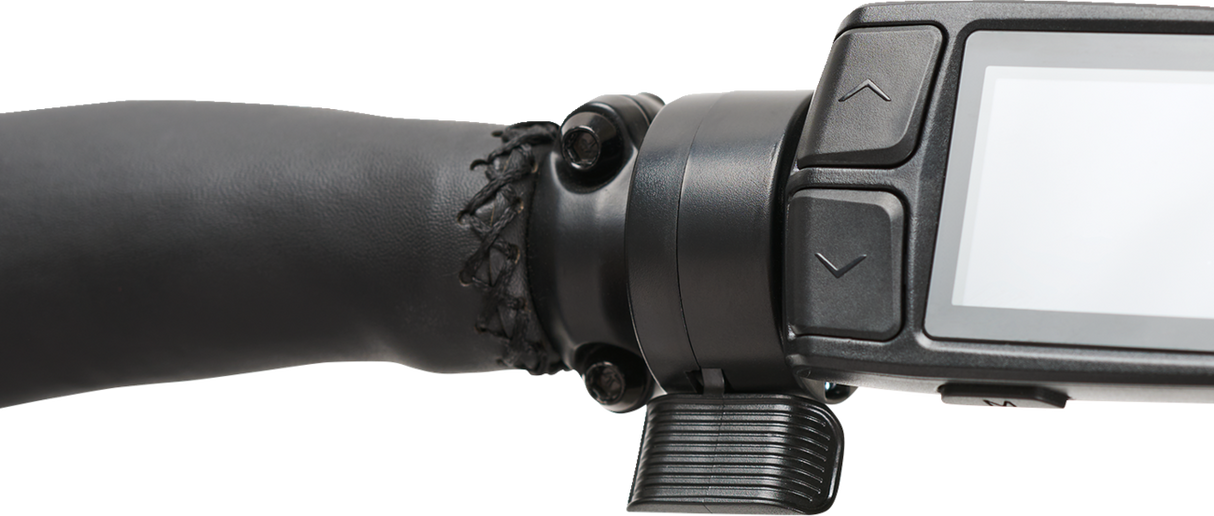 IGO ELECTRIC BIKES Discovery Yorkville LS E-Bike - Platinum - Hybrid 100-222-000