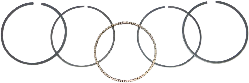 WSM Ring Set 51-536-06