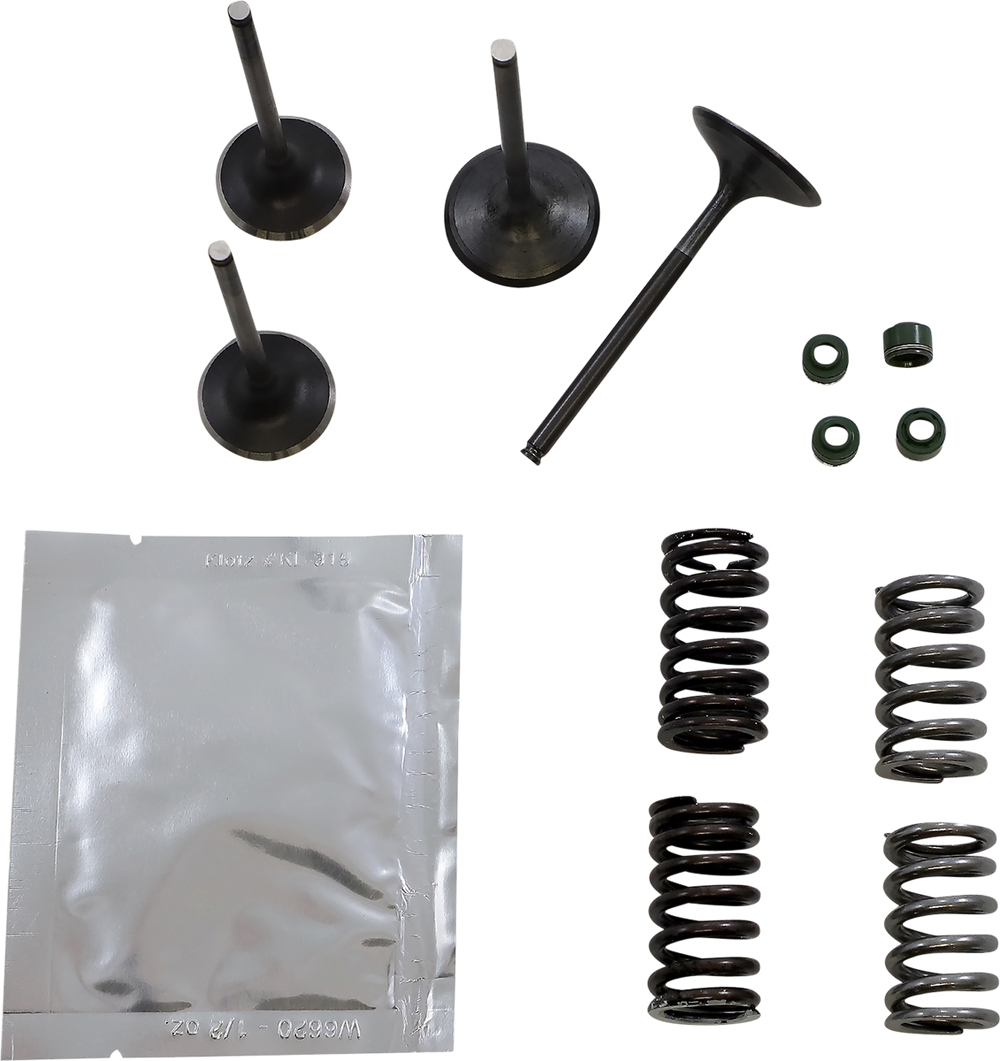 WISECO Valve Kit SVKB1403