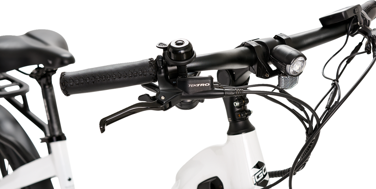 IGO Discovery Rosemont LE E-Bike - Step Through 100-211-000