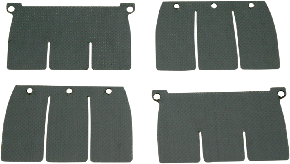 VFORCE/MOTO TASSINARI V-Force Reed Petal Set DP120-1