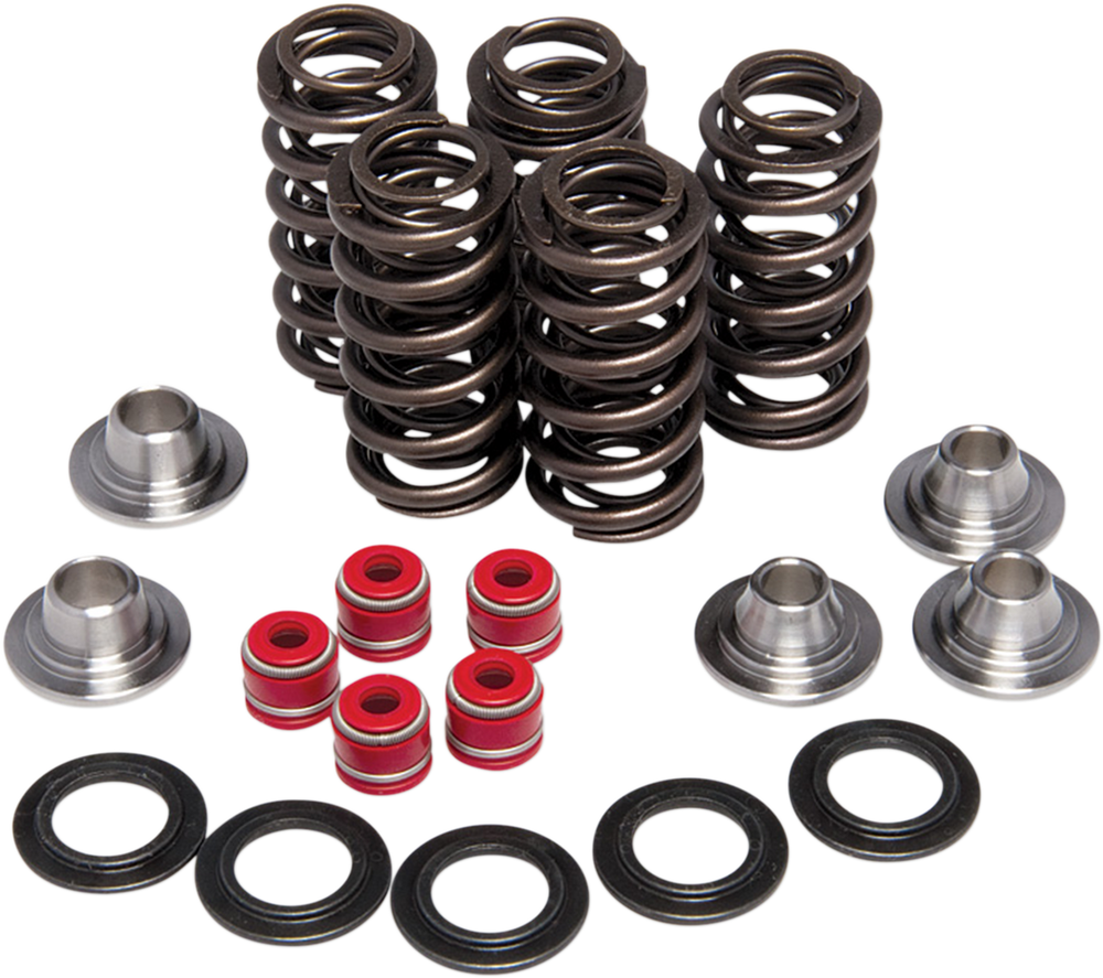 KIBBLEWHITE Valve Spring Kit 80-80206