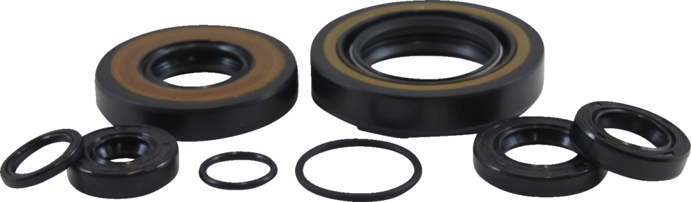 VINTCO Oil Seal Kit KOS005