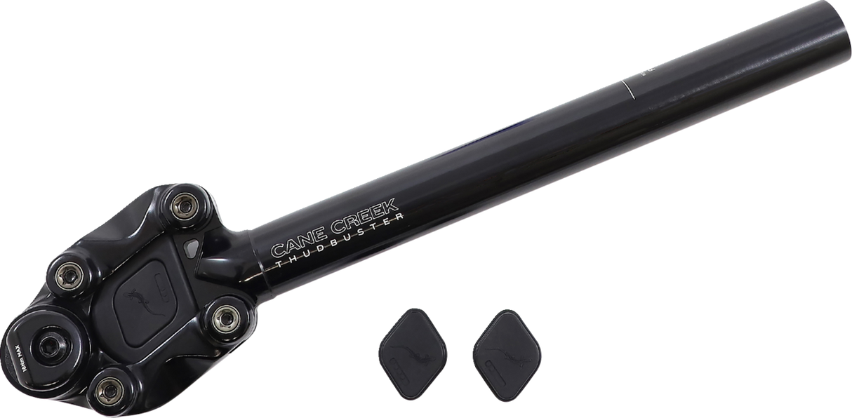 CANE CREEK CYCLING COMPONENTS Thudbuster ST Seatpost - 30.9 mm SP6A309