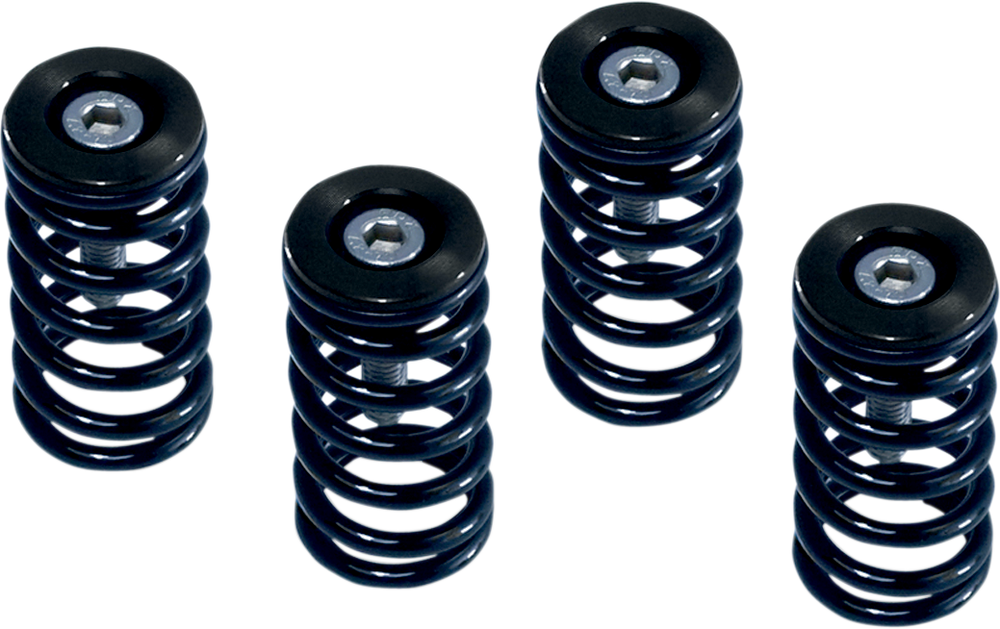 BARNETT Clutch Springs 519-25-06095