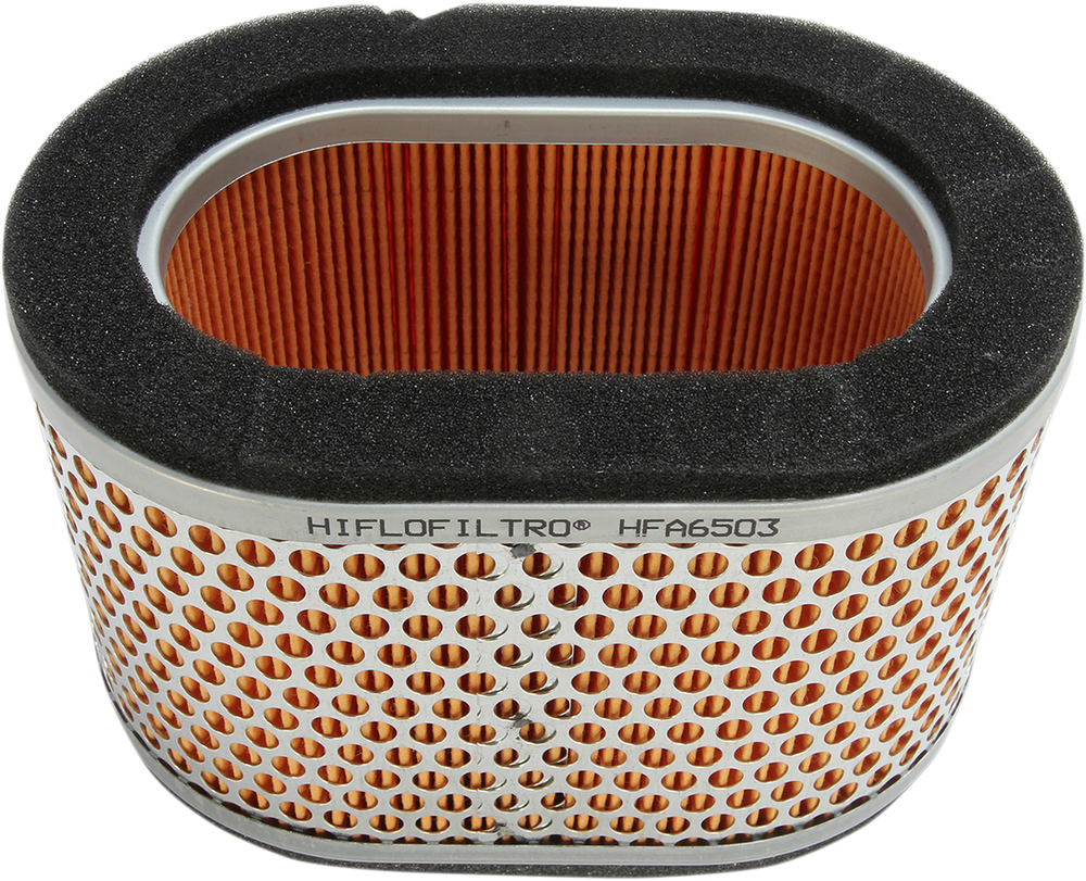 HIFLOFILTRO Air Filter - Triumph 955 '02-'06 HFA6503