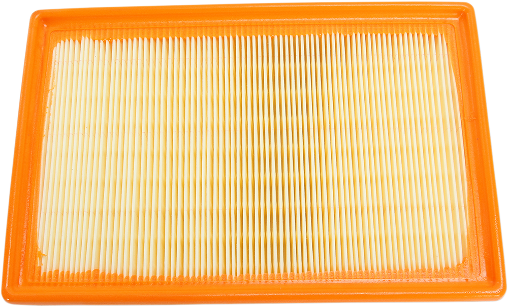 HIFLOFILTRO Air Filter - S1000R/RR/XR HFA7918