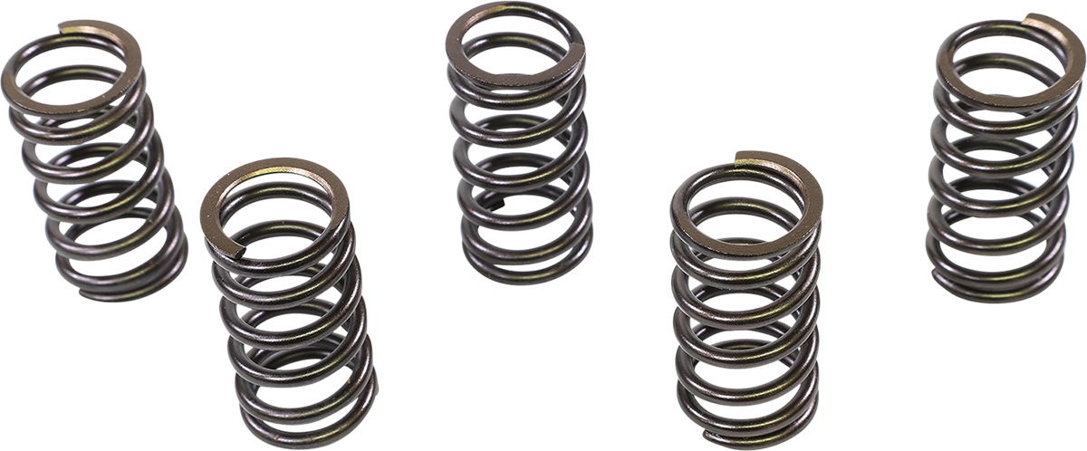 XCELDYNE Intake/Exhaust Valve Springs PSIMX2004