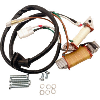RICK'S MOTORSPORT ELECTRIC Stator Rebuild Kit - Yamaha 22-905