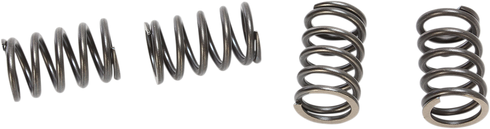 BBR MOTORSPORTS HD Clutch Springs 410-HXR-1005