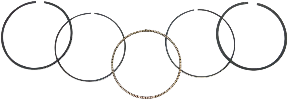 WSM Ring Set 51-250-04
