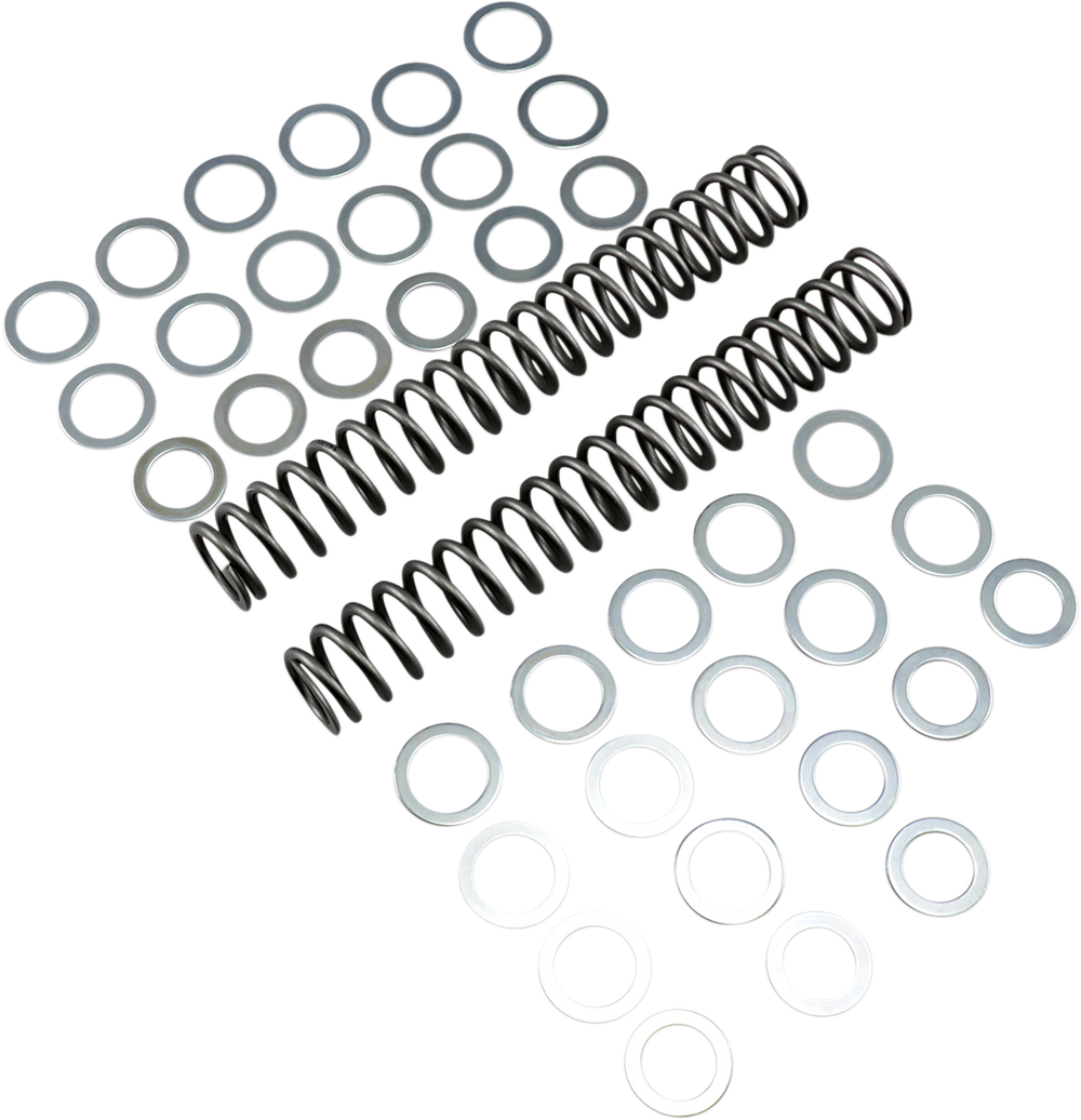 RACE TECH Fork Springs - 0.90 kg/mm FRSP S3827090