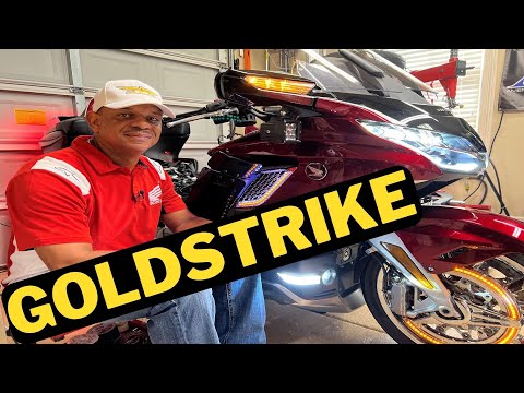 Goldstrike Twinart Lighted Radiator Grill Panels 18-Up Black 48321