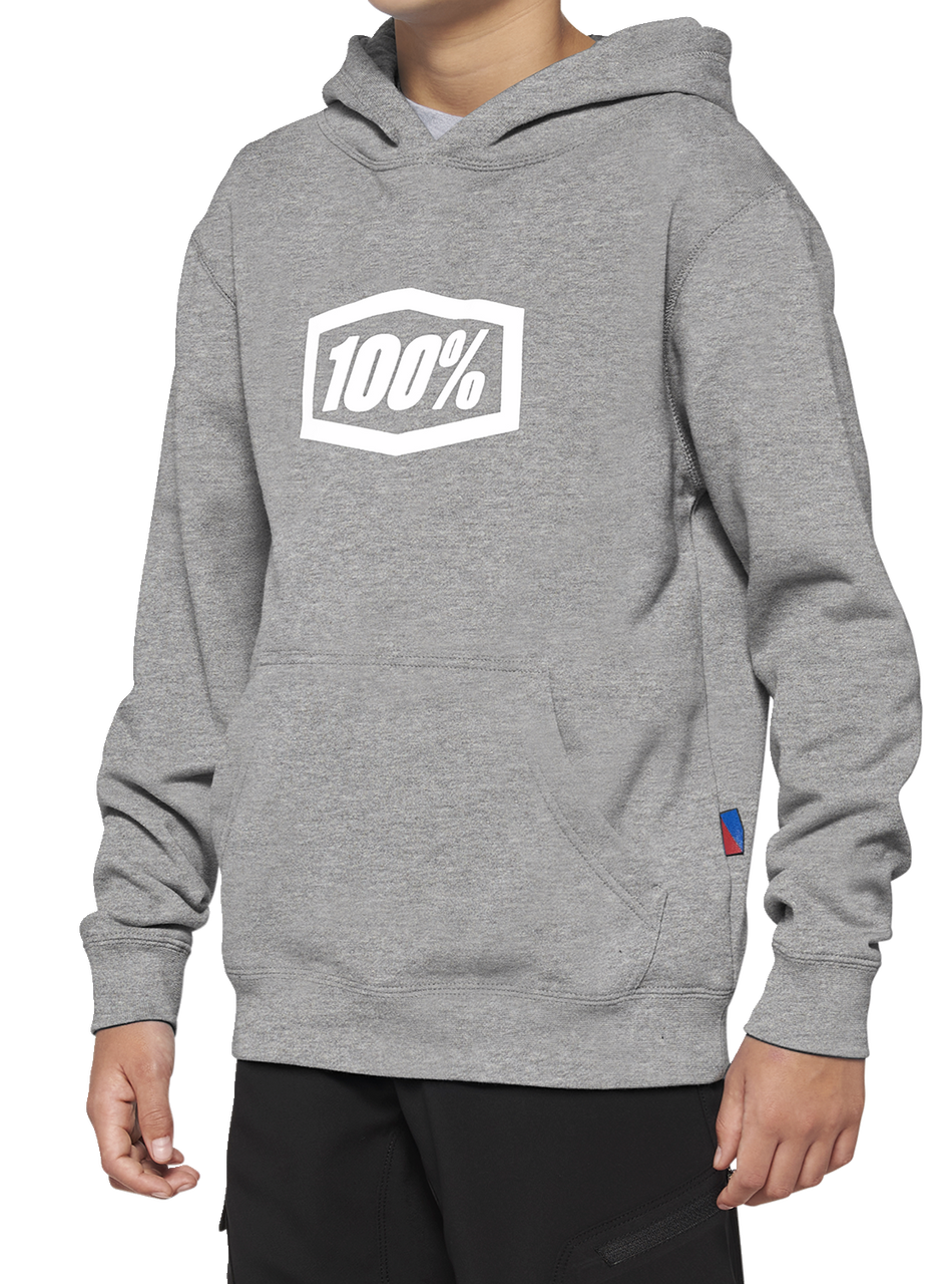 100% Youth Icon Hoodie - Gray - Small 20030-00004