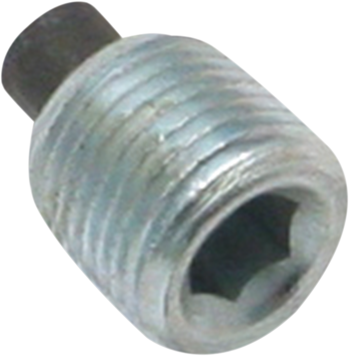 S&S CYCLE Magnetic Plug - 1/8" NPT 50-8334