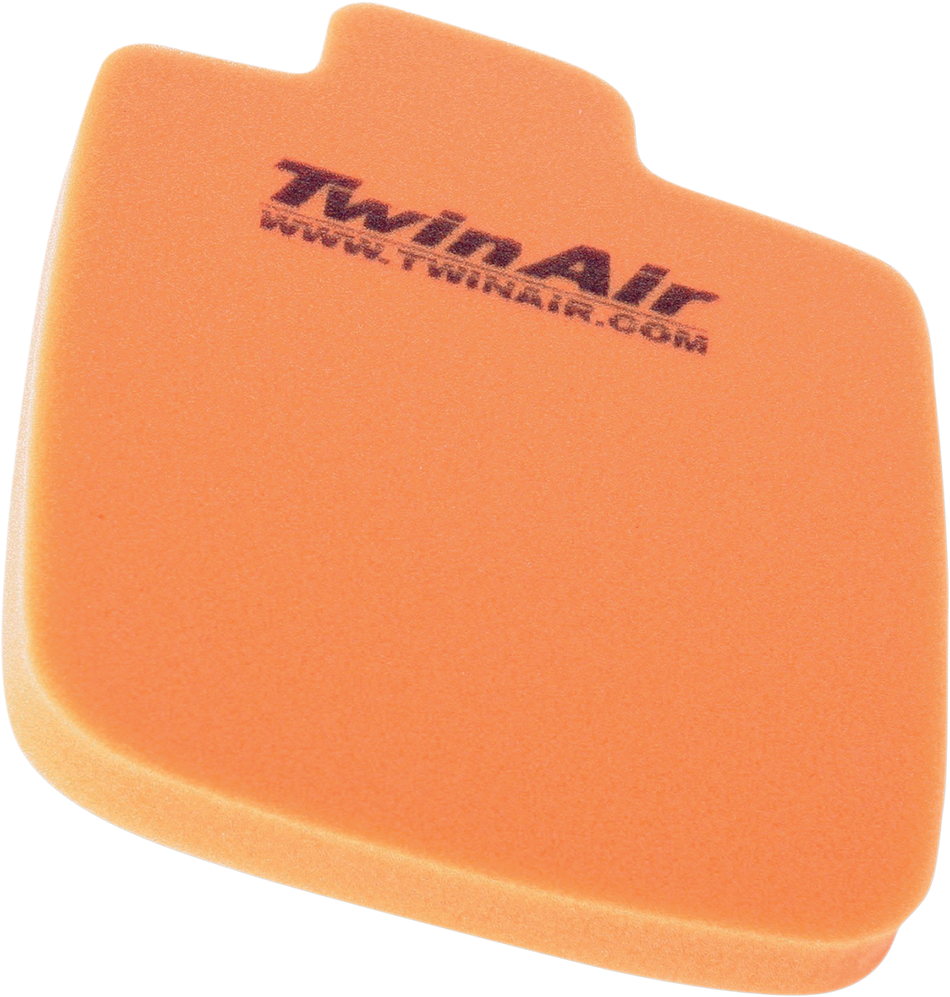 TWIN AIR Standard Air Filter - Arctic Cat 158268