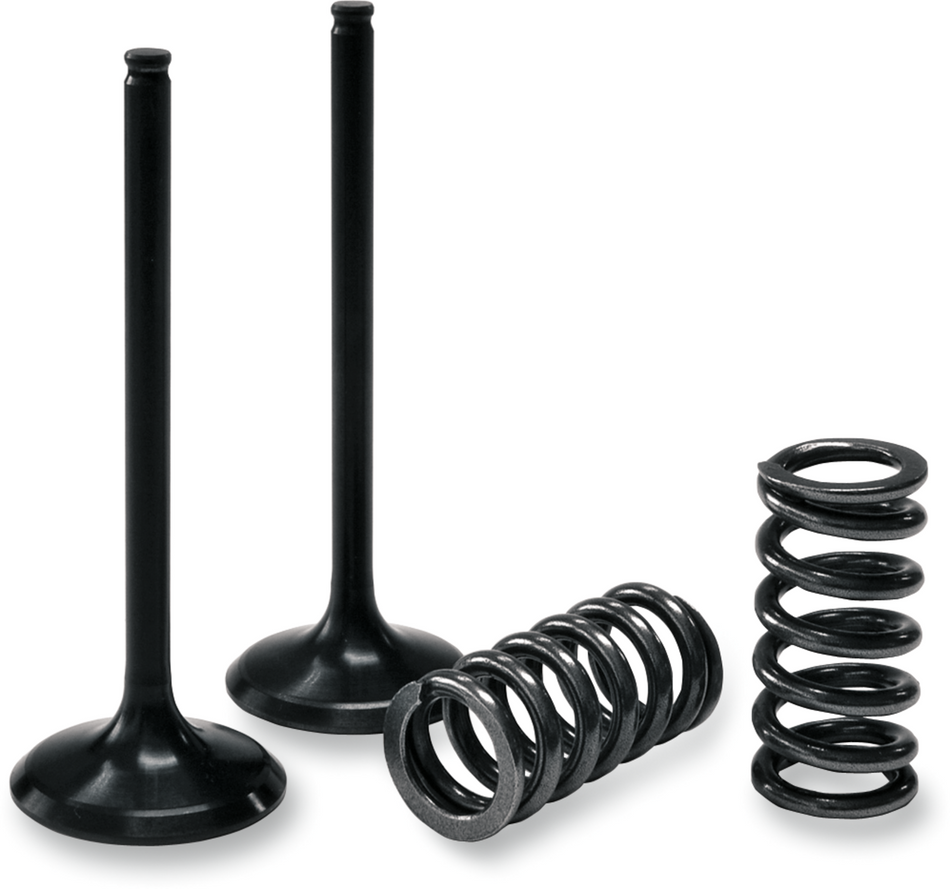 PROX Valve and Spring Kit 28.SES2402-1