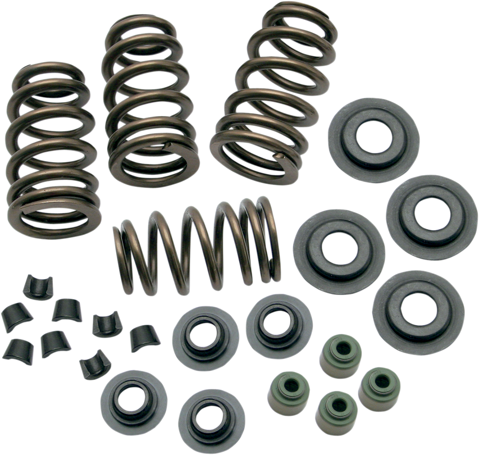 S&S CYCLE Valve Springs - .650" - Twin Cam .650" KIT 106-5909