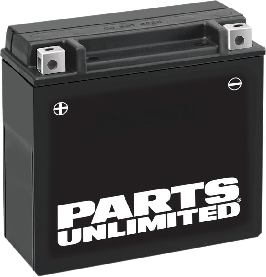 Parts Unlimited Agm Battery - Ytx20h-Bs .95 L Ctx20h-Bs