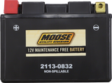 MOOSE UTILITY AGM Battery - CTZ12S CTZ12S