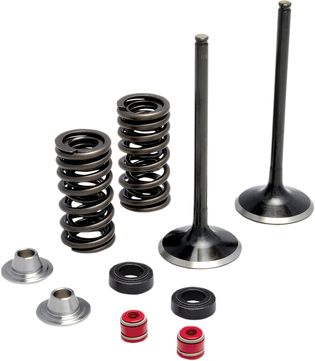 KIBBLEWHITE Spring Kit - Stainless Steel 30-32440