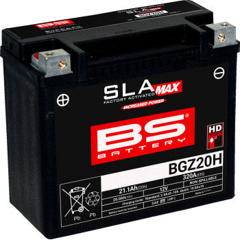 BS BATTERY SLA MAX Factory- Activated AGM Maintenance-Free Battery BGZ20H 300933