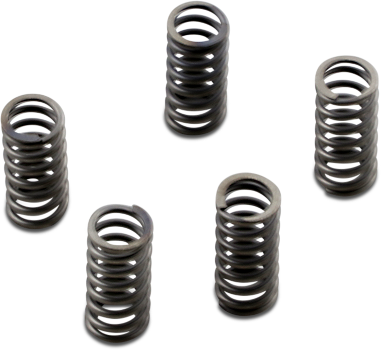 EBC Clutch Springs CSK232