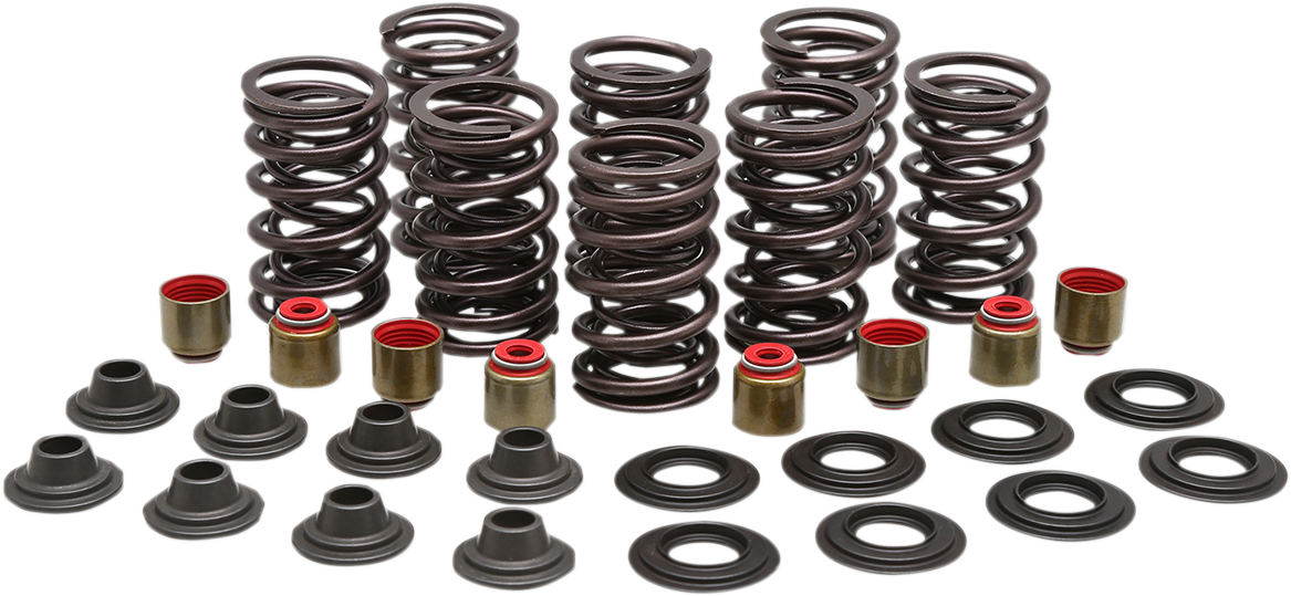 KIBBLEWHITE Valve Spring Kit 82-83000