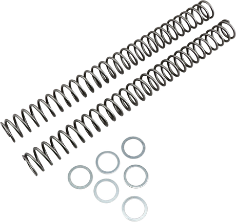 RACE TECH Fork Springs - 0.44 kg/mm FRSP 444744