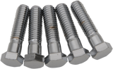 DRAG SPECIALTIES Bolts - Hex-Head - Chrome - 7/16"-14 x 1-3/4" MPB720