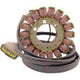 RICK'S MOTORSPORT ELECTRIC OE Style Stator - Yamaha 21-935
