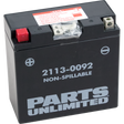 Parts Unlimited Agm Battery - Yt14b4 Ct14b4