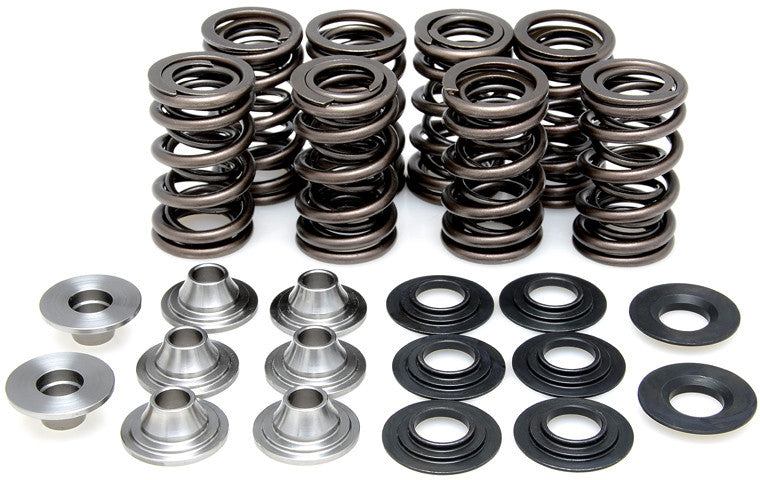 KPMIRacing Valve Spring Kit82-82190