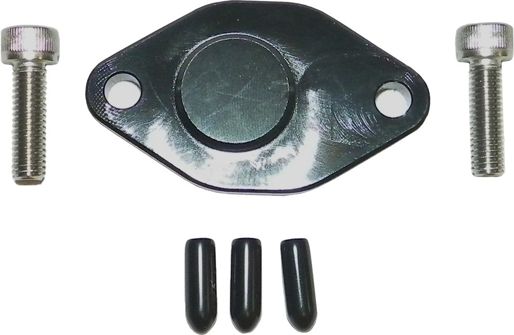 WSM Oil Injection Block Off Plate 011-206