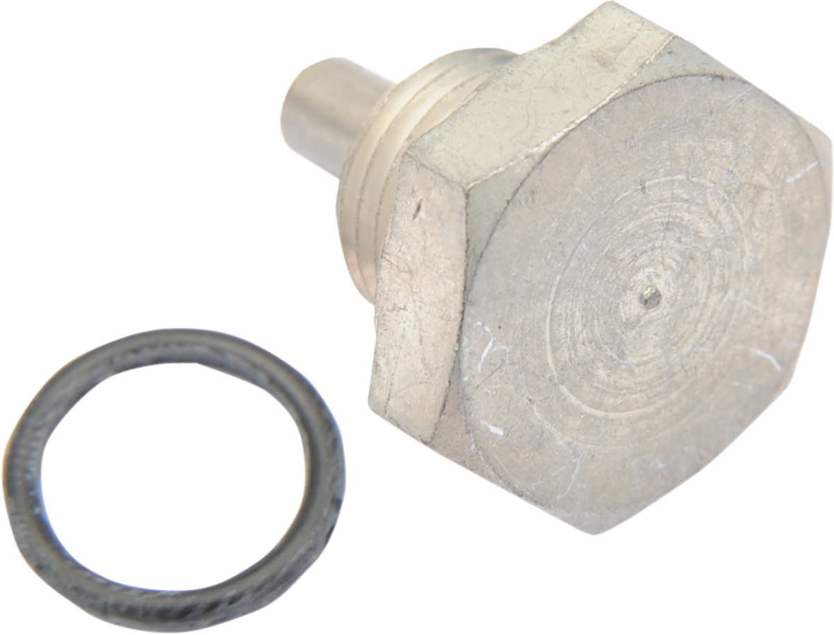 EASTERN MOTORCYCLE PARTS Drain Plug A-60348-65B