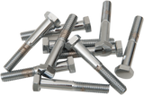 DRAG SPECIALTIES Bolts - Hex-Head - Chrome - 5/16"-18 x 2" MPB129