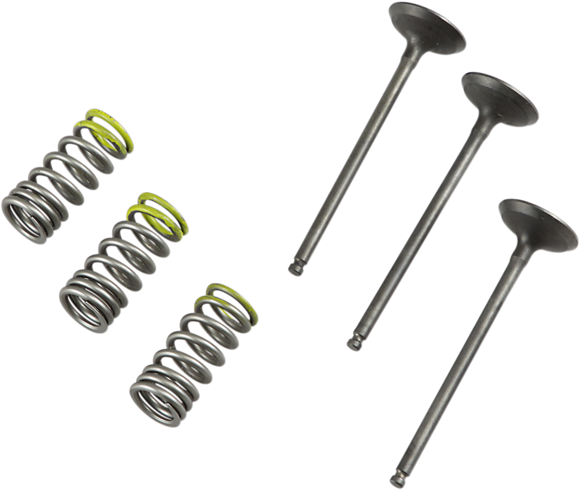 PROX Valve and Spring Kit 28.SIS2402-2