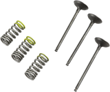 PROX Valve and Spring Kit 28.SIS2402-2