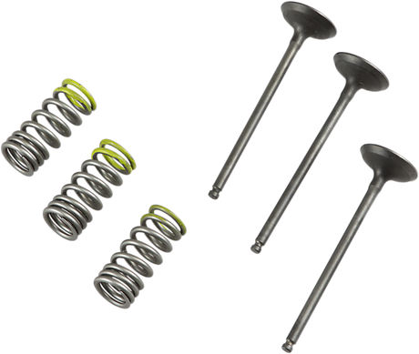 PROX Valve and Spring Kit 28.SIS2402-2