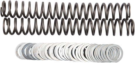 RACE TECH Fork Springs - 0.95 kg/mm FRSP S3827095