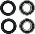 PIVOT WORKS Wheel Bearing Kit - Front PWFWS-Y10-000