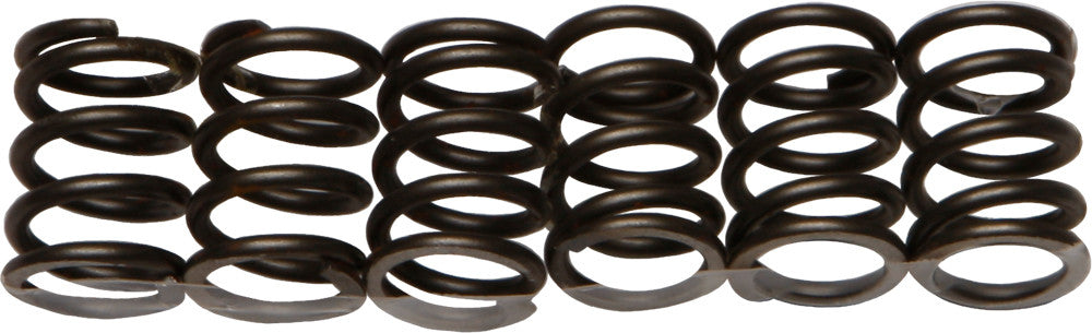 EBC Clutch Springs Csk19 CSK19