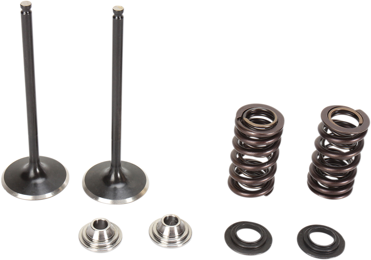 KIBBLEWHITE Valve Spring Kit 30-31580