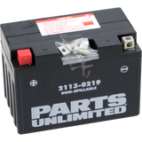 Parts Unlimited Agm Battery - Yt12a-Bs Ct12a-Bs