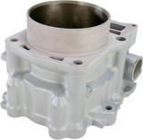 CYLINDER WORKS Cylinder - Standard - Raptor 700 ACTUALLY FOR STD BORE 20004