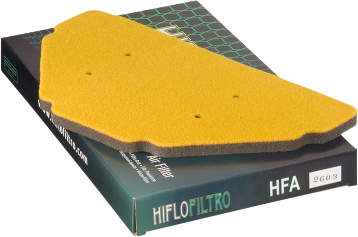 HIFLOFILTRO Air Filter - ZX-6R '95-'97 HFA2603