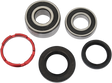 PIVOT WORKS Wheel Bearing Kit - Rear - Honda PWRWK-H06-520