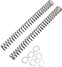 RACE TECH Fork Springs - 0.38 kg/mm FRSP 444738