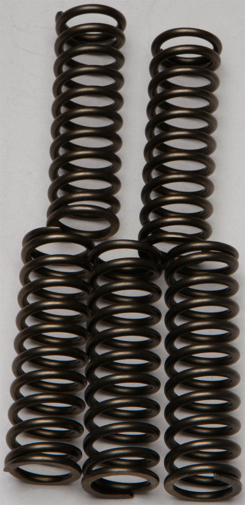 EBC Clutch Springs Csk169 CSK169