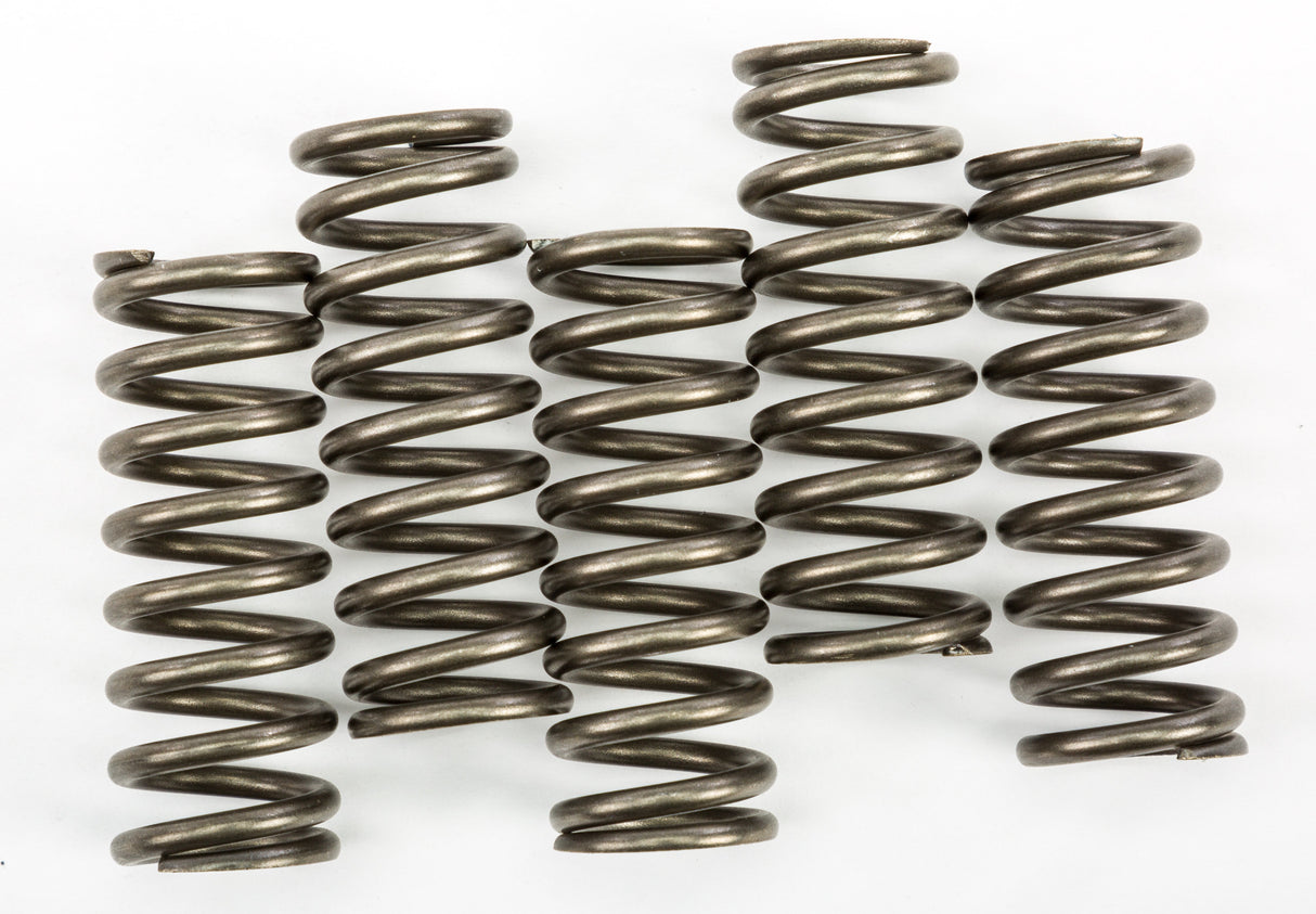 EBC Clutch Springs Csk254 CSK254